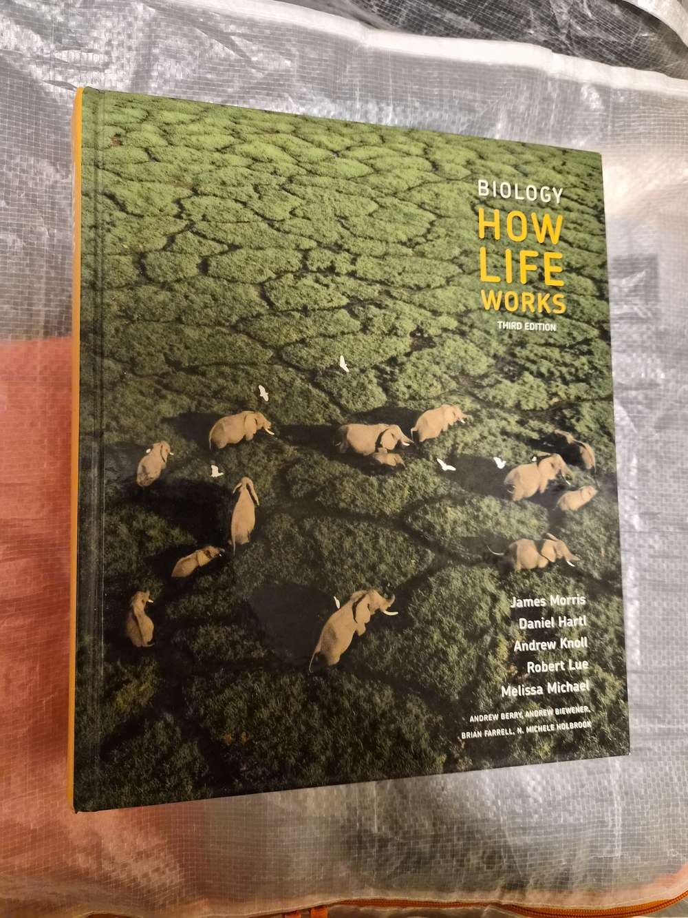 How Life Works - Biology Textbook (Green Cover)